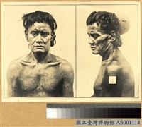 藏品(伊哥羅人 Bontoc 族男子)的圖片